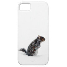 Squirrel in the Snow iPhone 5 Cases