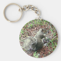 Squirrel Key Chains