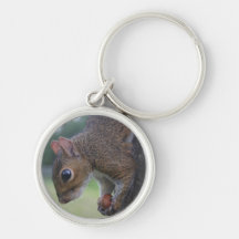 squirrel keychain