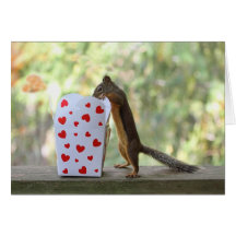 Squirrel Looking Inside Heart Box Cards