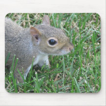 Squirrel Mousepad