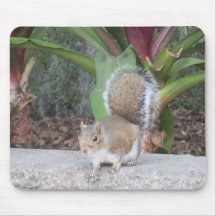 Squirrel Mousepad