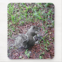 Squirrel Mousepad
