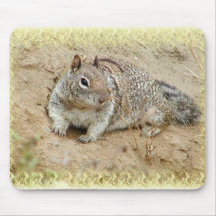 Squirrel Mousepad