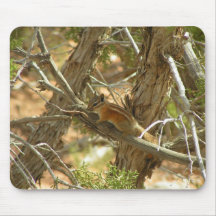 Squirrel Mousepad