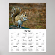 Squirrel Photo 2013 Calendar Poster