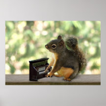 Squirrel Playing Piano Posters