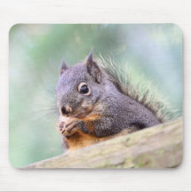 Squirrel Praying for Peanuts Mousepad