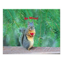 Squirrel Valentine Photo Print