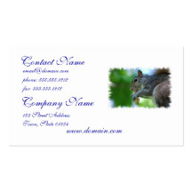 Squirrel with Nut Business Card