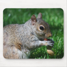 Squirrel with Nut Mouse Pad