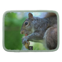 Squirrel with Nut Wallet Folio Organizers