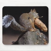 Squirrels Eating Tails Pinecones Mouse Pads