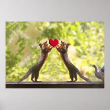 Squirrels with Heart Print