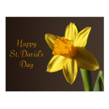 St.David's Day Postcard