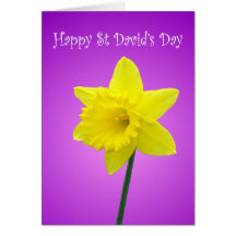 St Davids Day Welsh Daffodil Greeting Cards