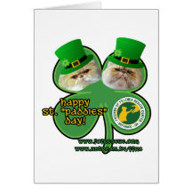 st. paddies day - note cards