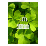 St. Patrick's Day Birthday Cards