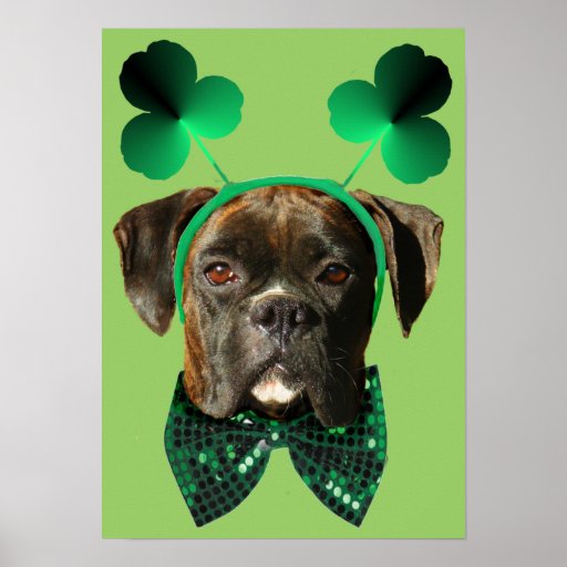 patrick day boxer death video