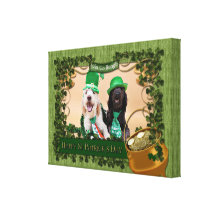 St Patricks Day - GoldenDoodles - Sadie and Izzie Stretched Canvas Print