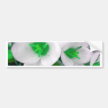 St Patrick's Green Flowers Bumper Stickers