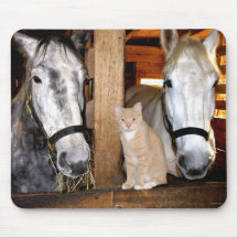 Stable Buds Mousepad
