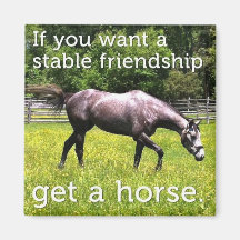 Stable Friendship Magnet