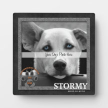 Staffordshire Terrier Dog Breed Memorial Plaque