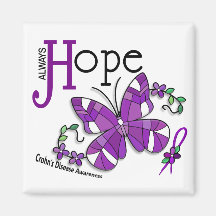 Stained Glass Butterfly Crohn's Disease Magnets