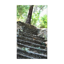 Stairs of Life Gallery Wrap Canvas