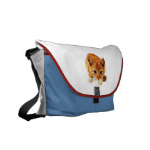 Stalking Kitten Staring at You Commuter Bag