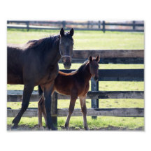 Stand By Me 10x8 Photographic Print