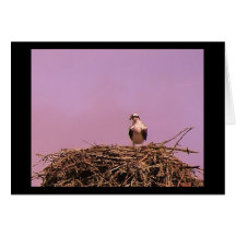 Standing Guard Greeting Card