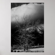 Standing Guard Print
