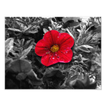 Standing Out Photo Art