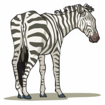 standing zebra graphic acrylic cut outs