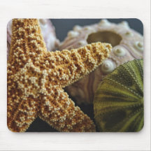 Star Fish and Urchin Still Life Mouse Pads