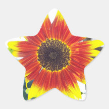 Star Stickers