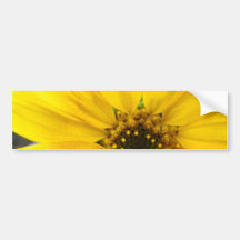 Starburst Sunflower Bumper Sticker