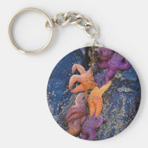 Starfish Pisaster Ochraceus & Ochre Sea Star Keychains