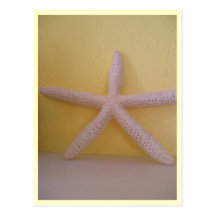 Starfish Post Card