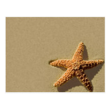 Starfish Tropical Event And Wedding Invitation Postcards