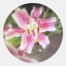 stargazer lilies #11 round sticker