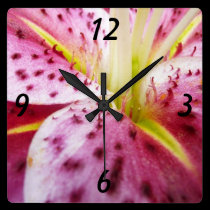 Stargazer Lily Wall Clock wall clocks