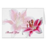 Stargazer Silhouette Thank You Note Card