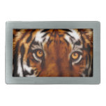 Staring Tiger Big Cat Wildlife Art Rectangular Belt Buckle