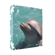 Starring a Dolphin Canvas print