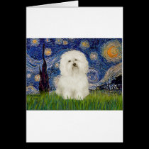 Starry Night - Bolognese 1 cards
