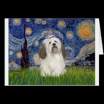 Starry Night - Havanese (#1) cards