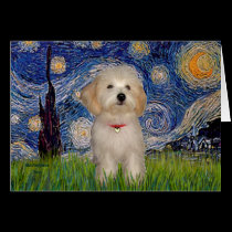 Starry Night - Havanese Puppy cards